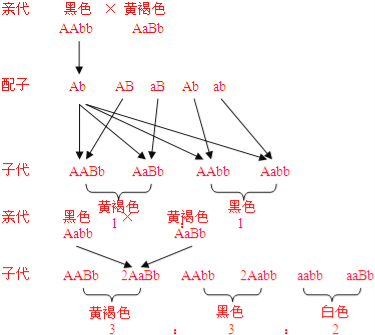 学童基因对学习成绩的影响有多大...