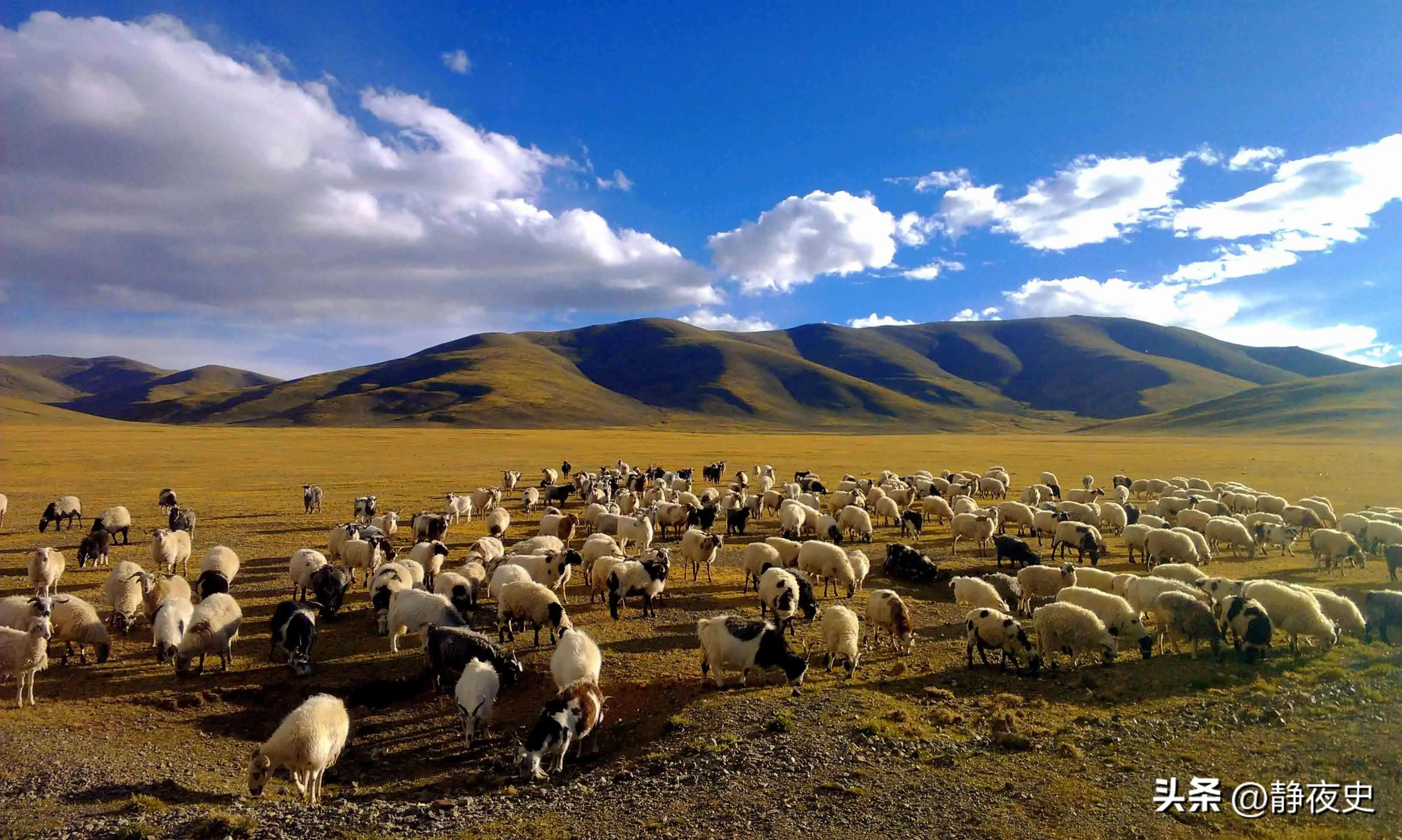 蒙古帝国真的奠定世界格局吗?“实际存在的”与“存在...