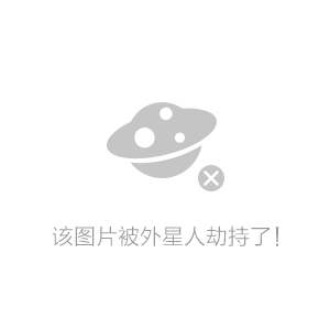 苹果直营店