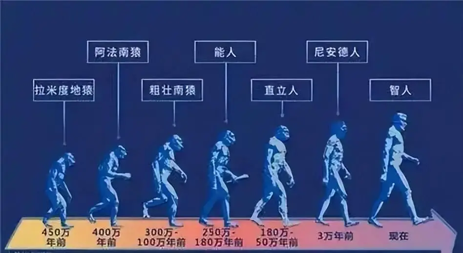 人类进化的七大谜团?科学家为你揭秘...