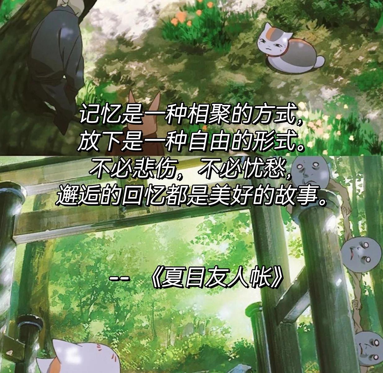 《夏目友人帐》:我的温柔就是给你更多自由...