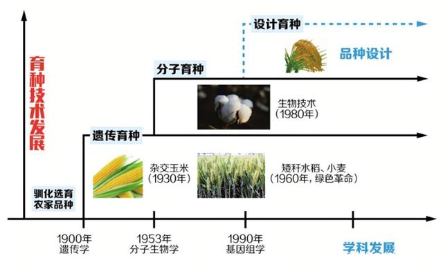 超级杂交水稻