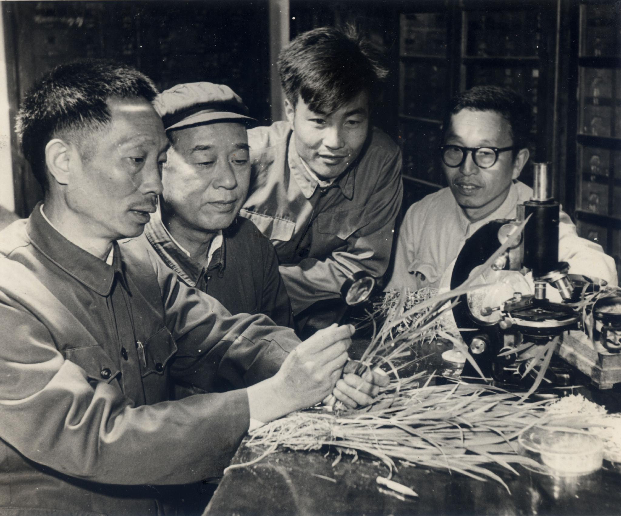 袁隆平生平事迹 杂交水稻之父贡献