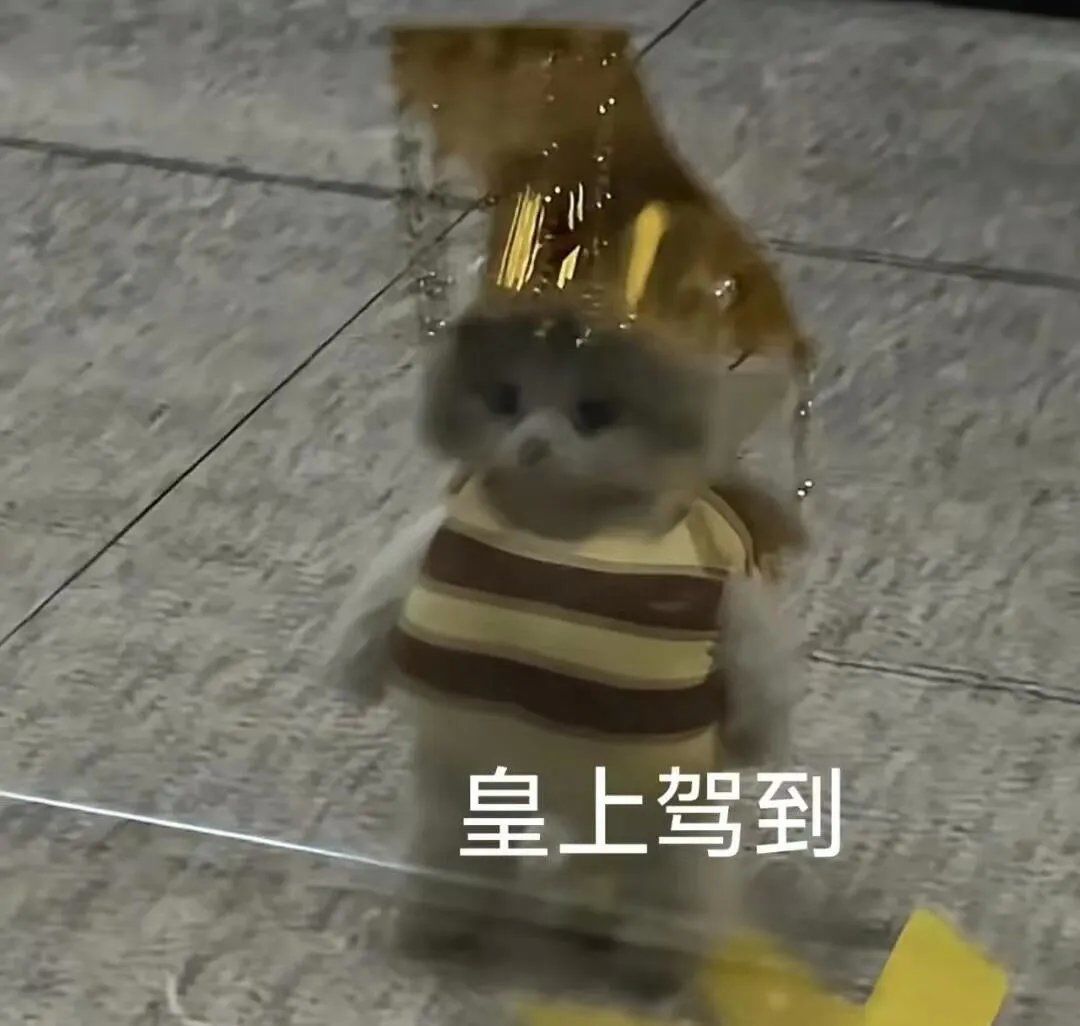 200元如何花出3500元价值？初中生高性价比约会全攻略