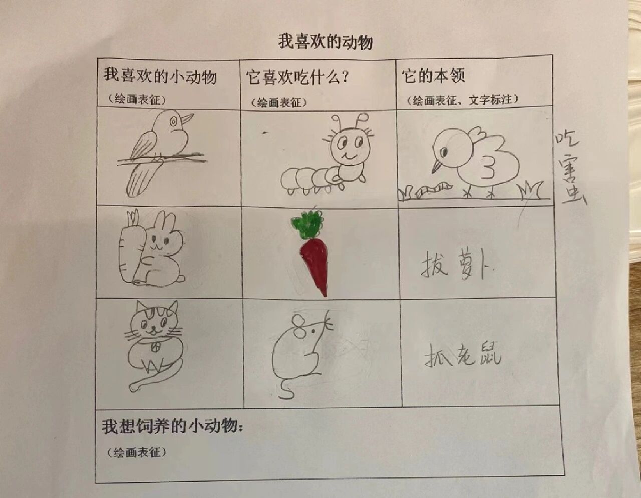 养兔子