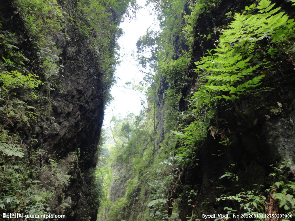 全国兼职一线天论坛:揭秘中国最大灵活用工社区的生存法则与财富密码
