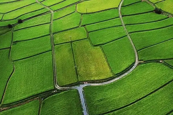 一亩田
