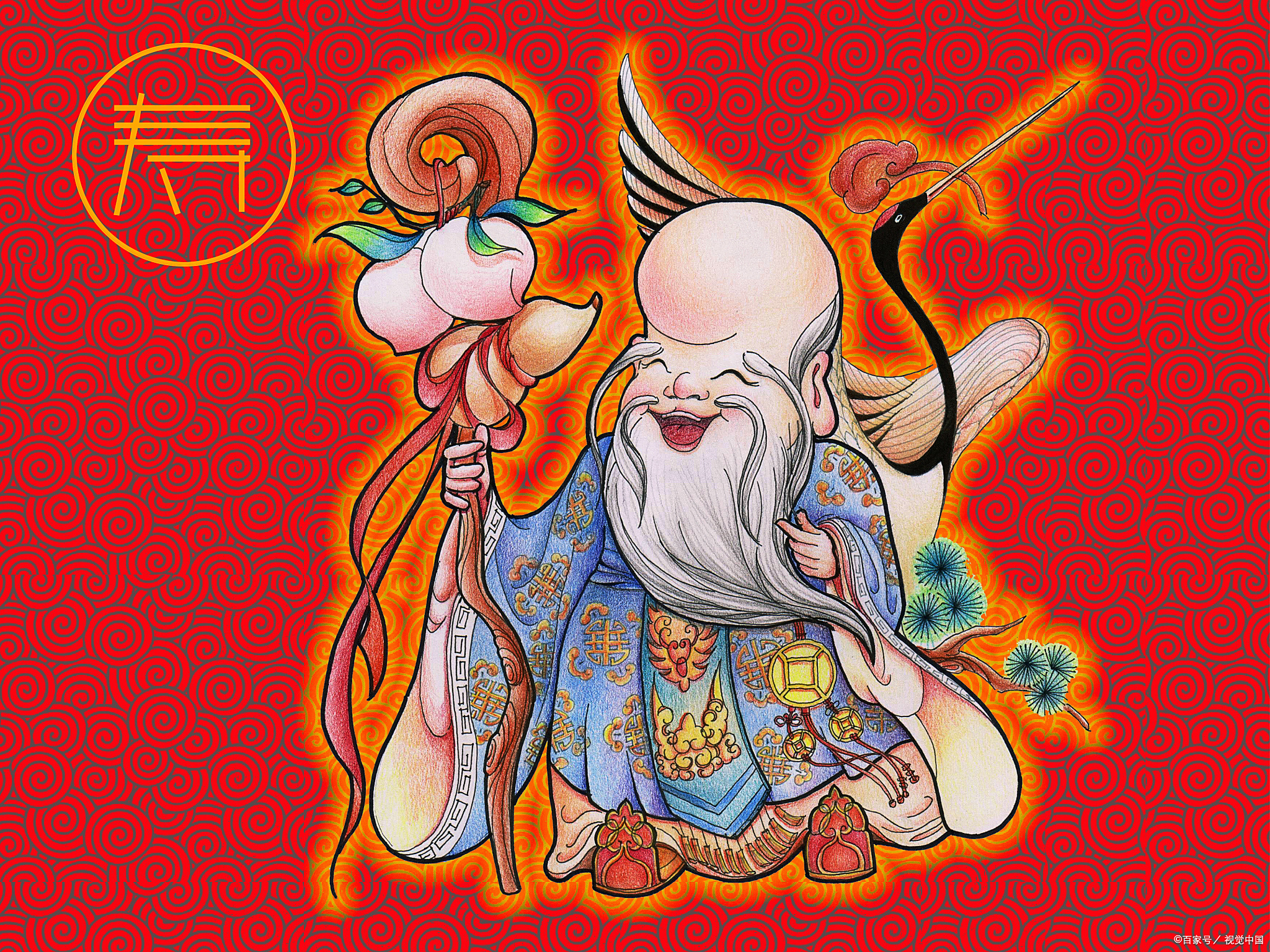 长寿花图片