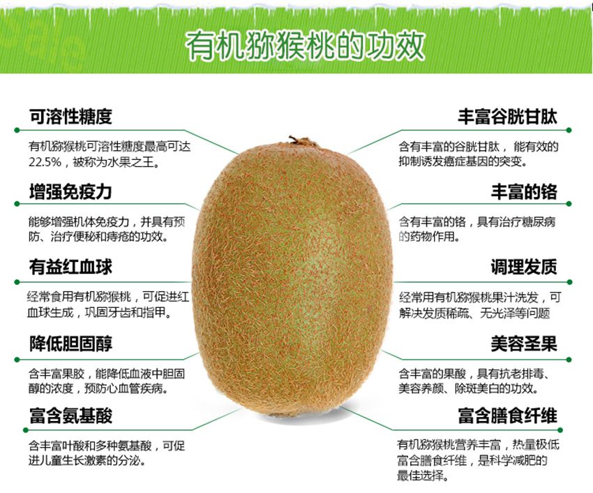 猕猴桃的功效与作用有哪些 美容养颜与健康促进的秘密