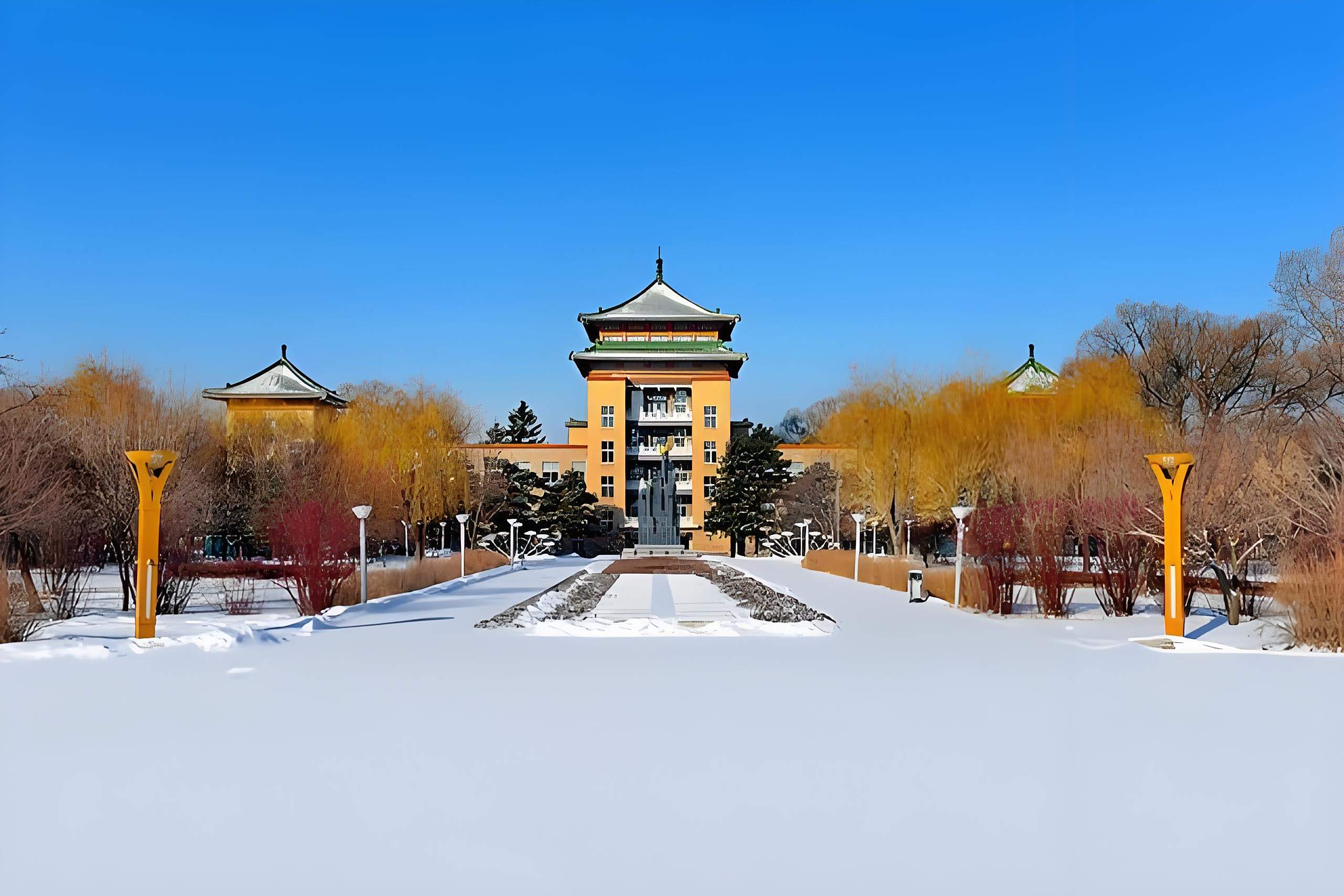 东北农业大学