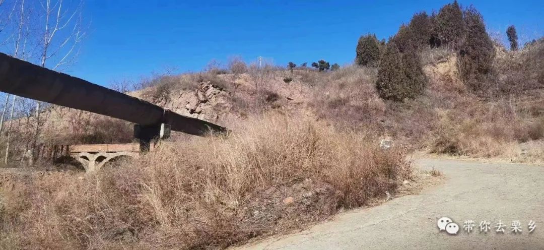 详细解读:徐州唐沟会通地铁吗|2025年官方规划与居民出行实测分析