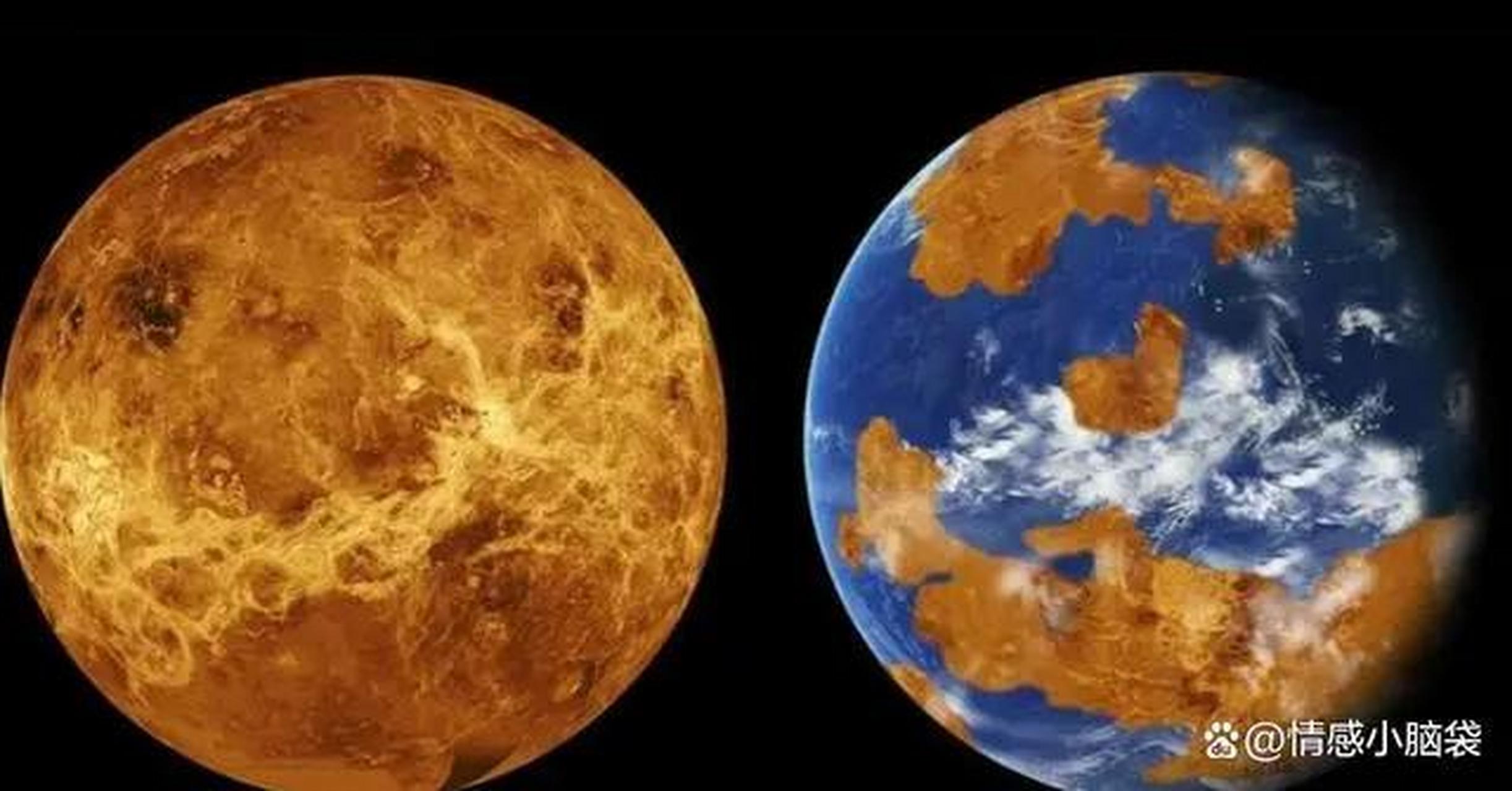 科学家发现首个地外生命存在的证据，金星人或许真的要...