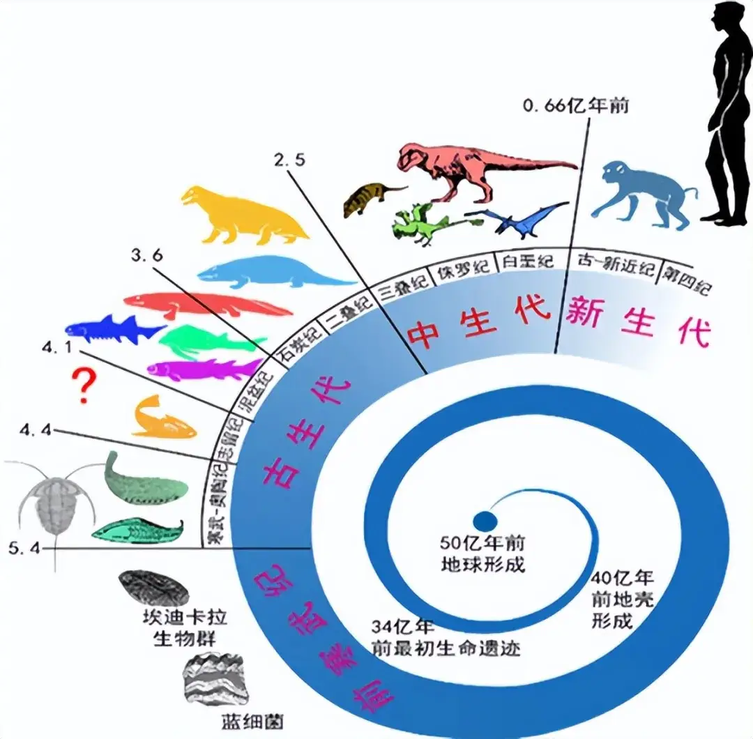 为什么说生殖繁育的某些方面,人类不及某些动物?...