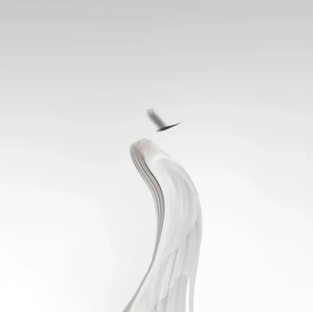 行业资讯:寻找附近单身女性:实用方法解析与高效社交策略