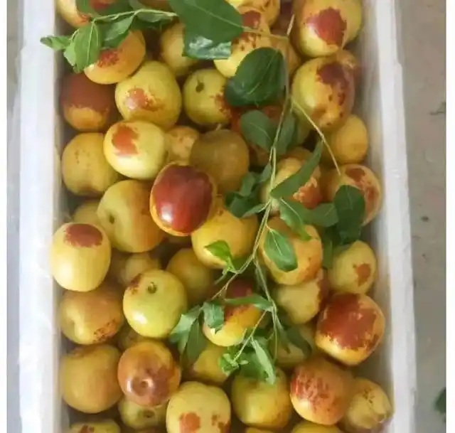 冬枣价格