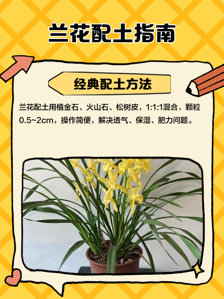 兰草的养殖方法