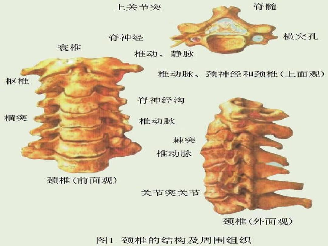 头疼怎么样可以缓解