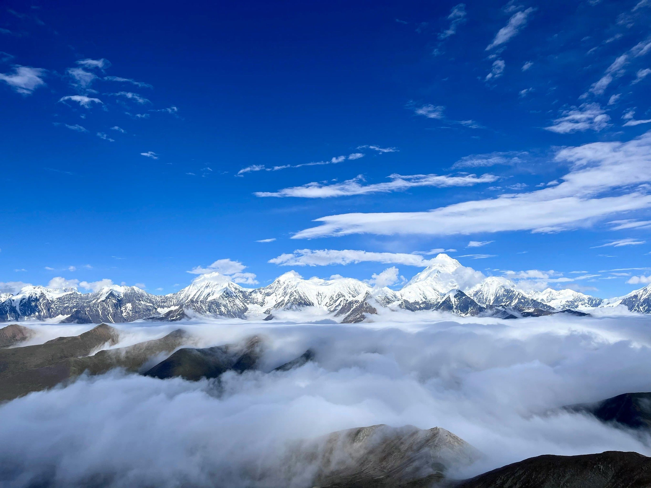 如何破解900城夜间服务空白实现24小时极速响应省30%成本