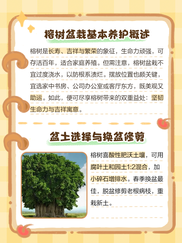 榕树的养殖方法