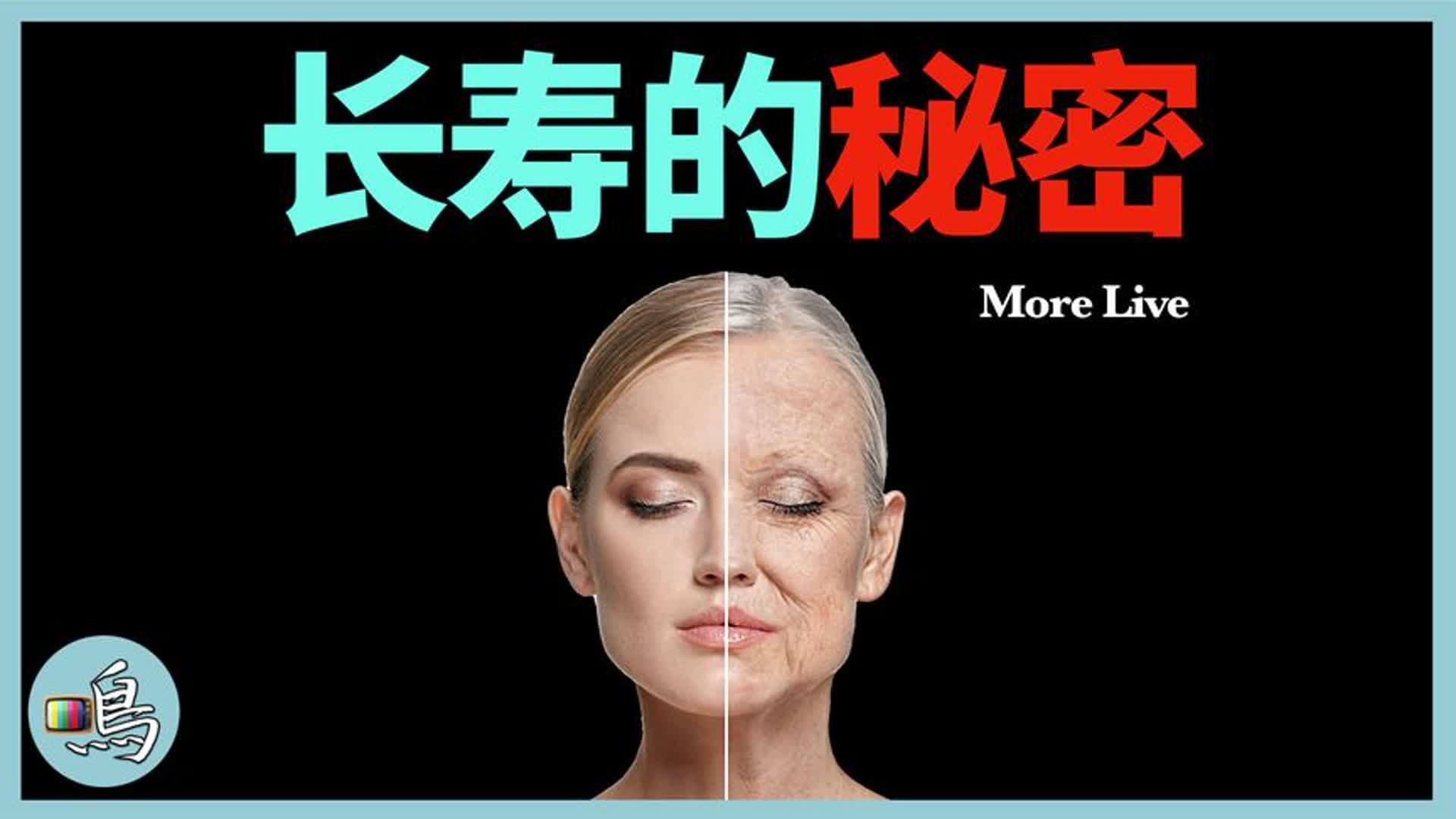人类是否可以数字形式的“长生不死”呢?...