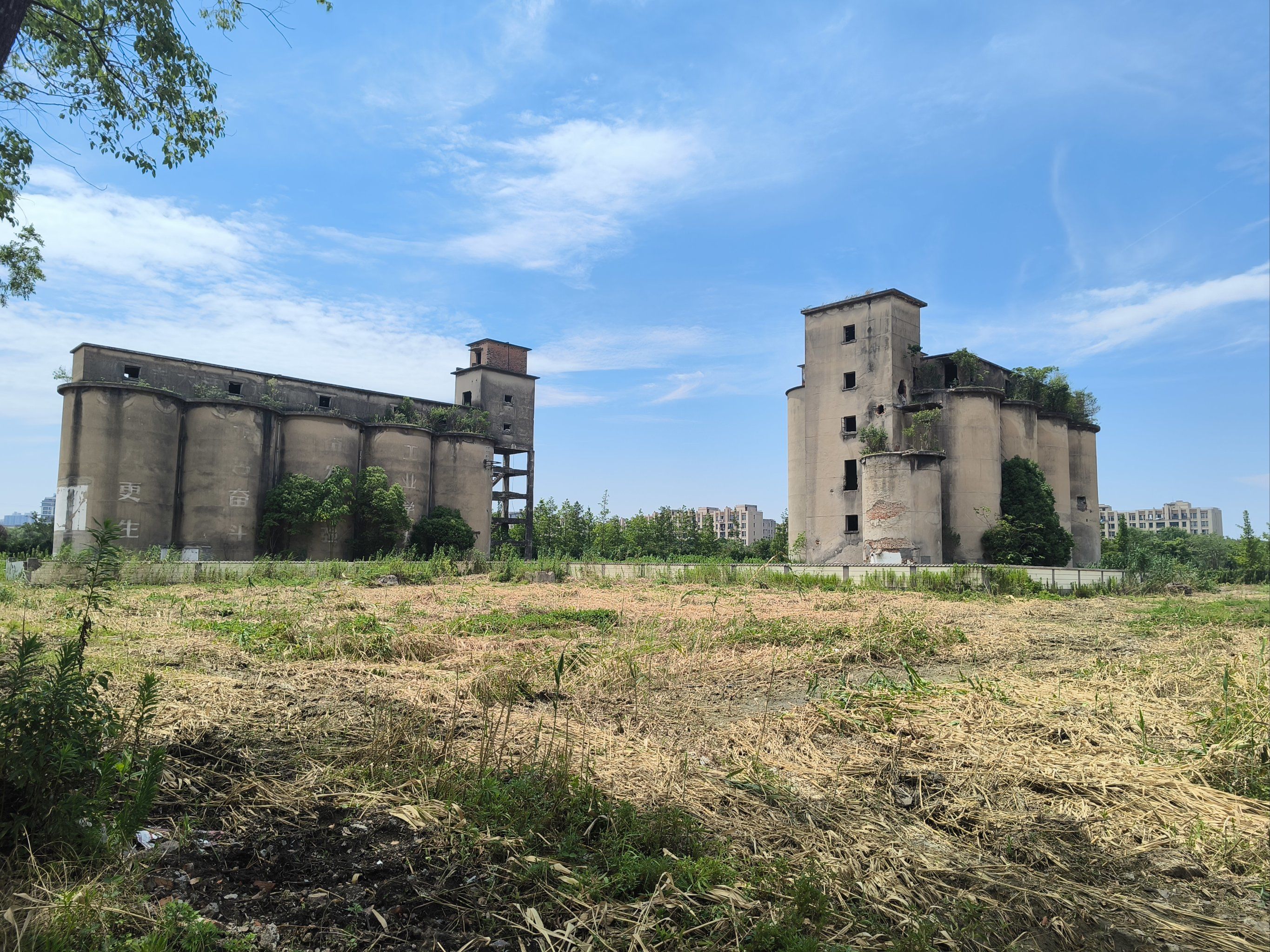 城市边缘女性生活现状与社会救助途径探讨