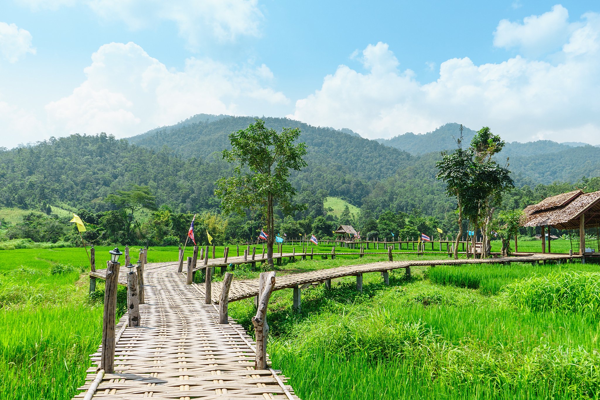 旅游企业成功案例