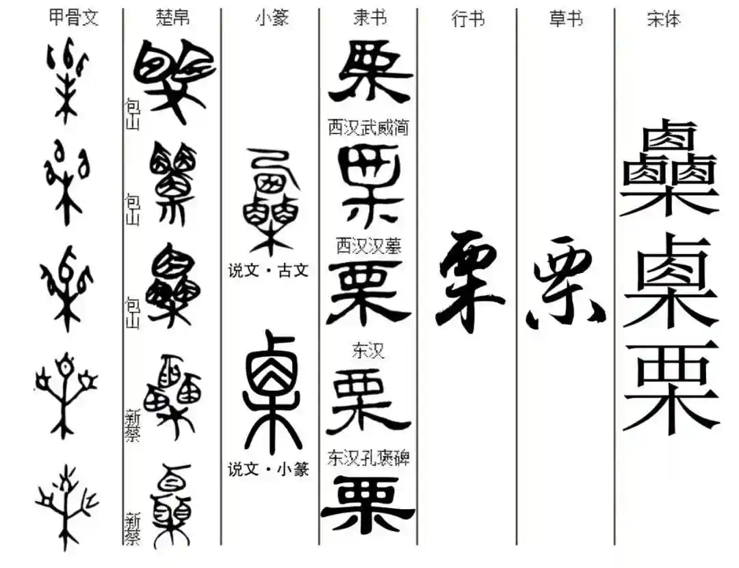 粟字读音与含义 古代重农贵粟的原因