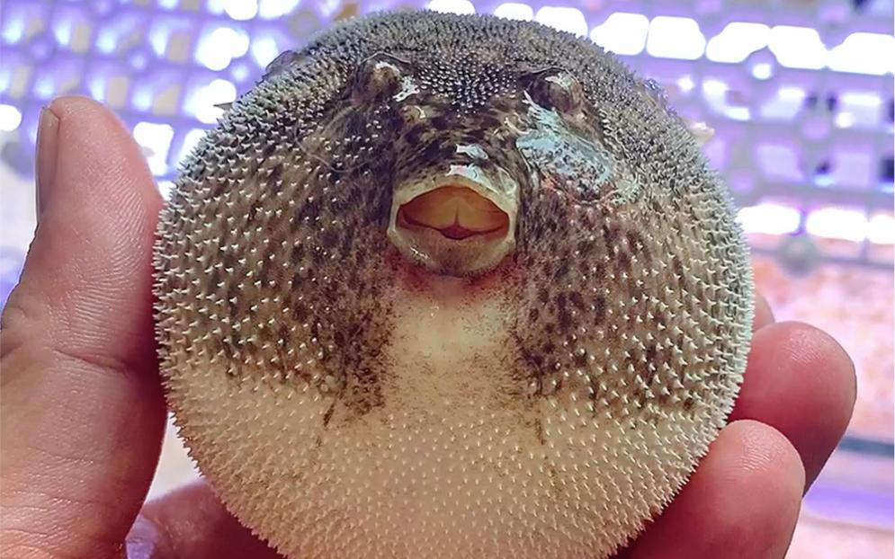 身份证上的你为什么那么丑?冻脸效应或许可以解释...