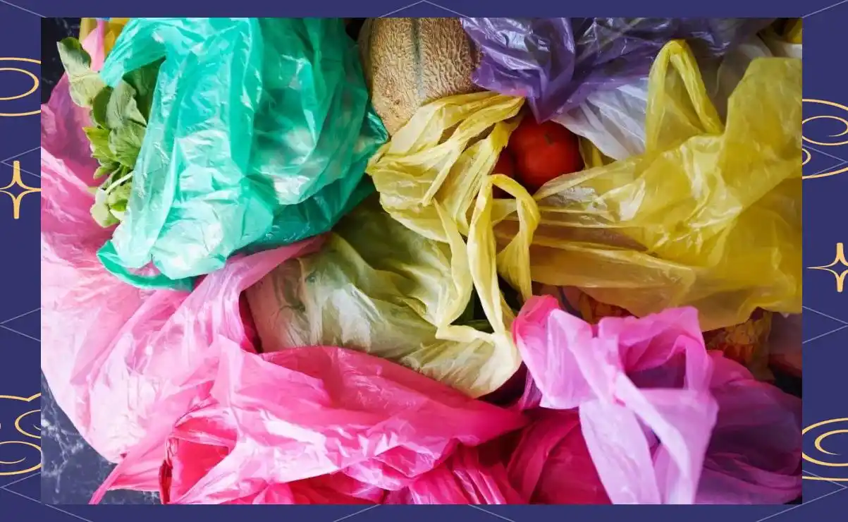 停用塑料吸管能拯救海洋吗？...