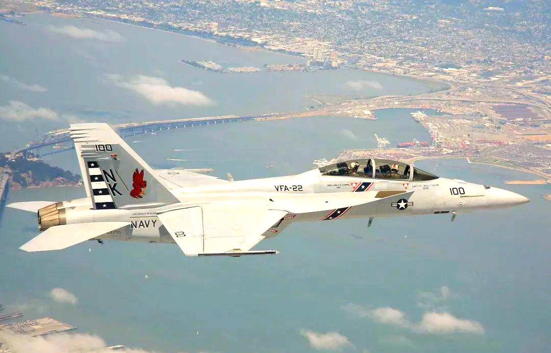 世界最大胡蜂个体是如何被发现的?...