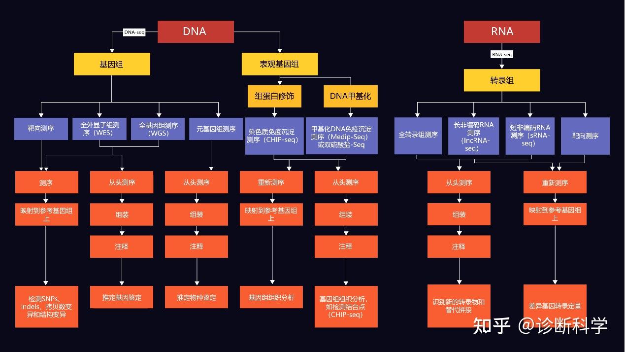 基因测序、基因治疗与精准医疗...