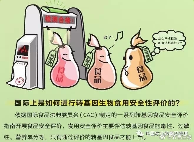 转基因生物大争论,谁说的对?...