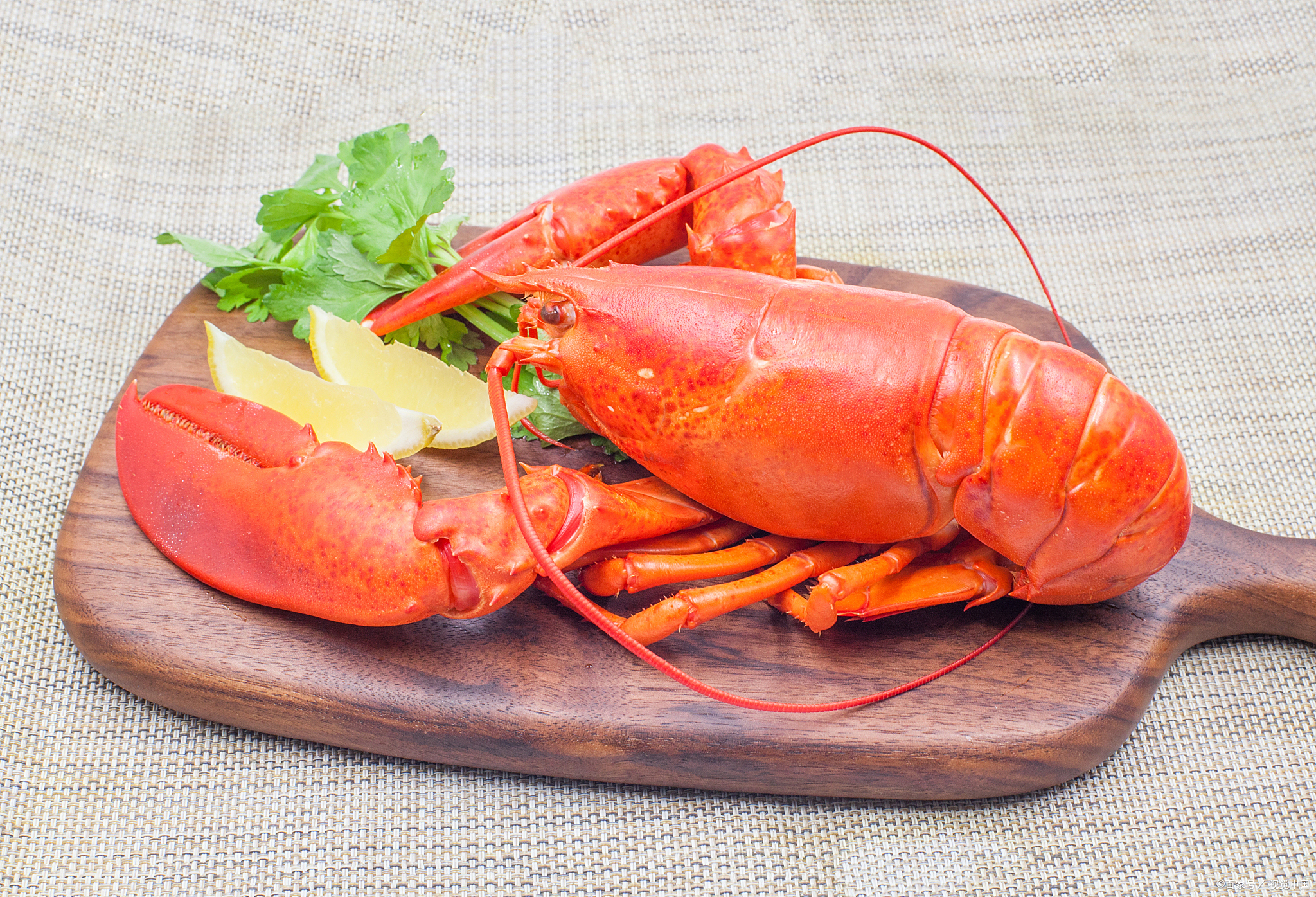 波士顿大龙虾怎么做好吃 家常波龙的三种美味做法