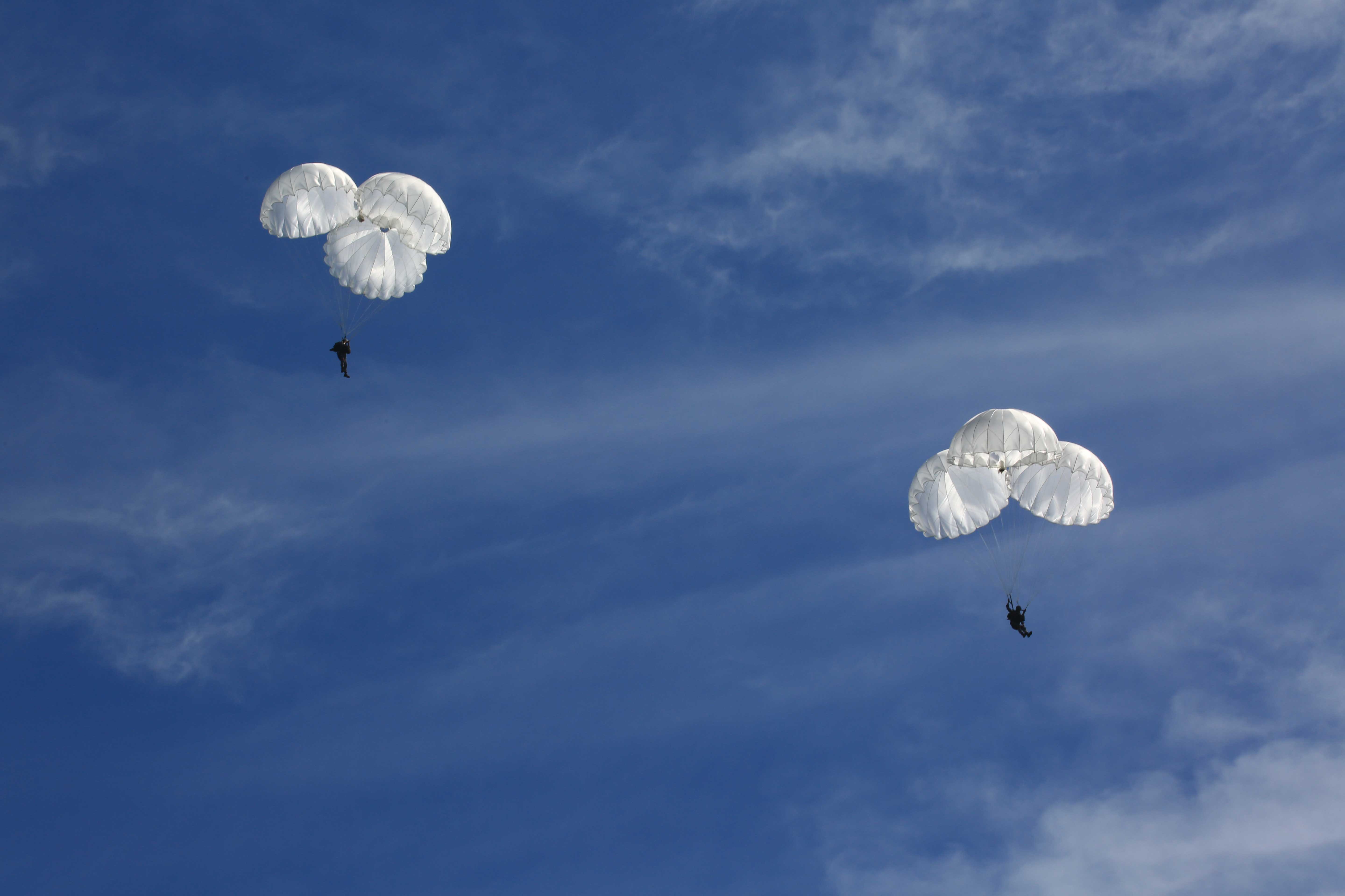 全国高端空降服务深度解析,行业现状与未来趋势