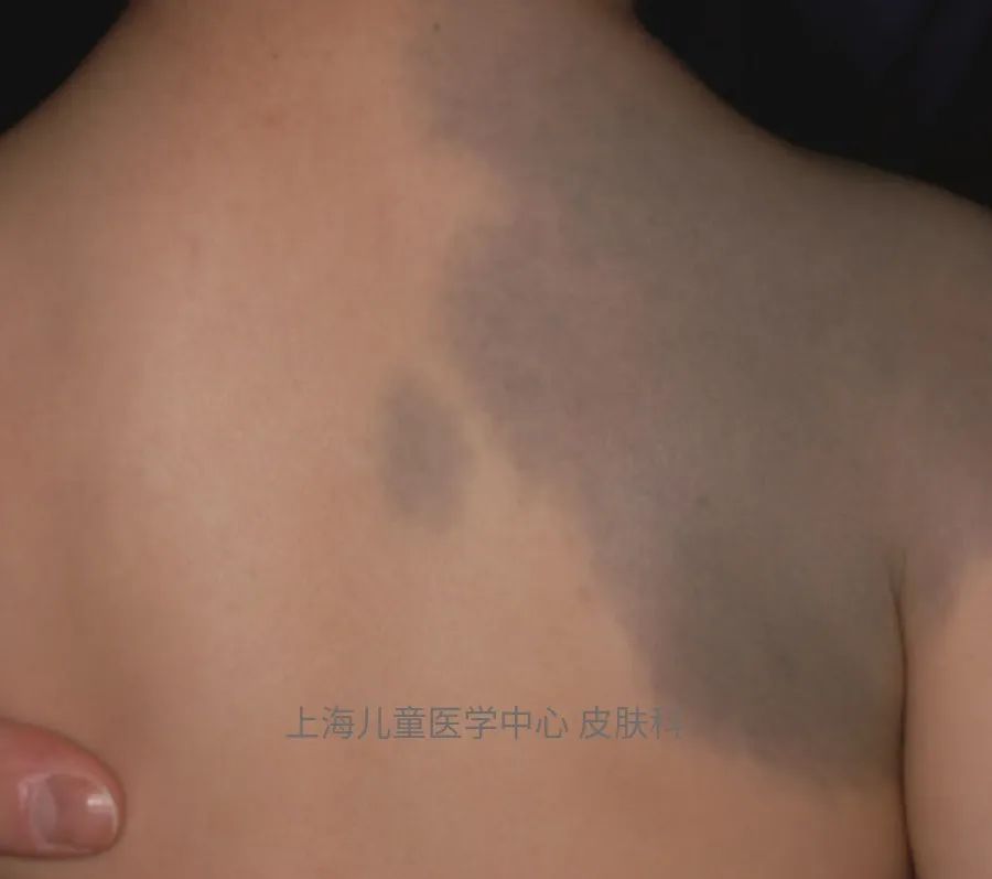 系统之无良宿主