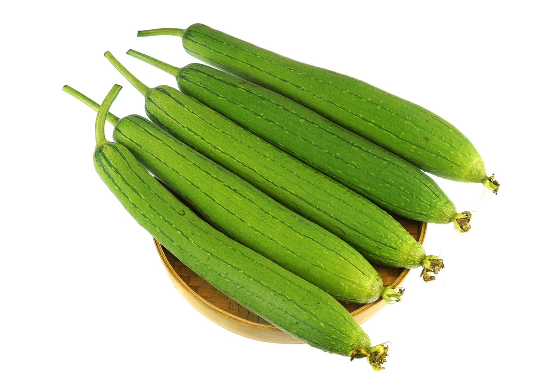 丝瓜种植
