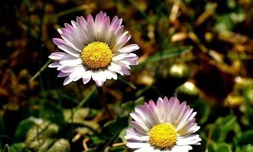 生而为人,并没有什么容易的事情...