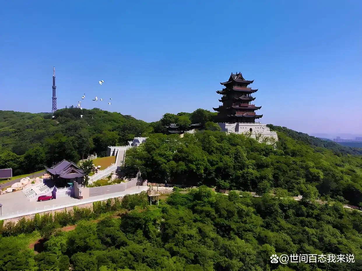 滁州私人工作室新茶靠谱吗