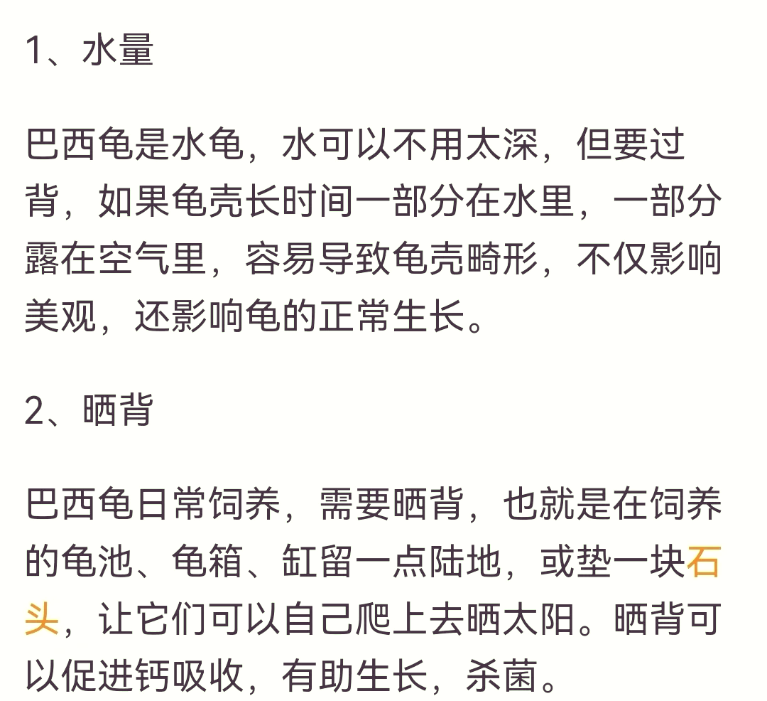 乌龟可以干养吗 乌龟养殖需要注意什么