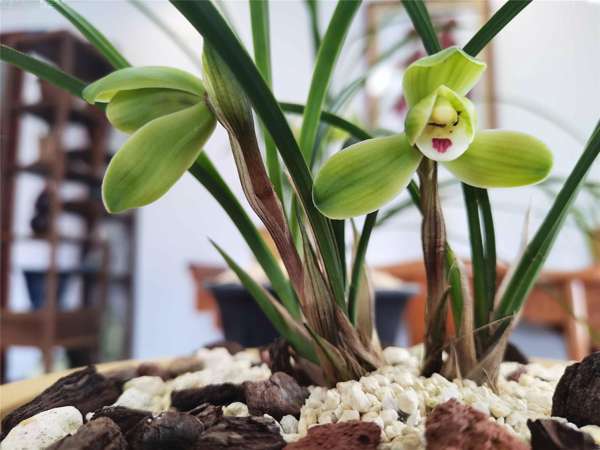 爆炸性新闻:江苏一品楼信息资源究竟如何查询?你知道吗?