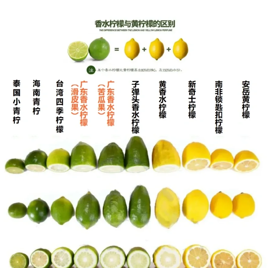 柠檬酸价格