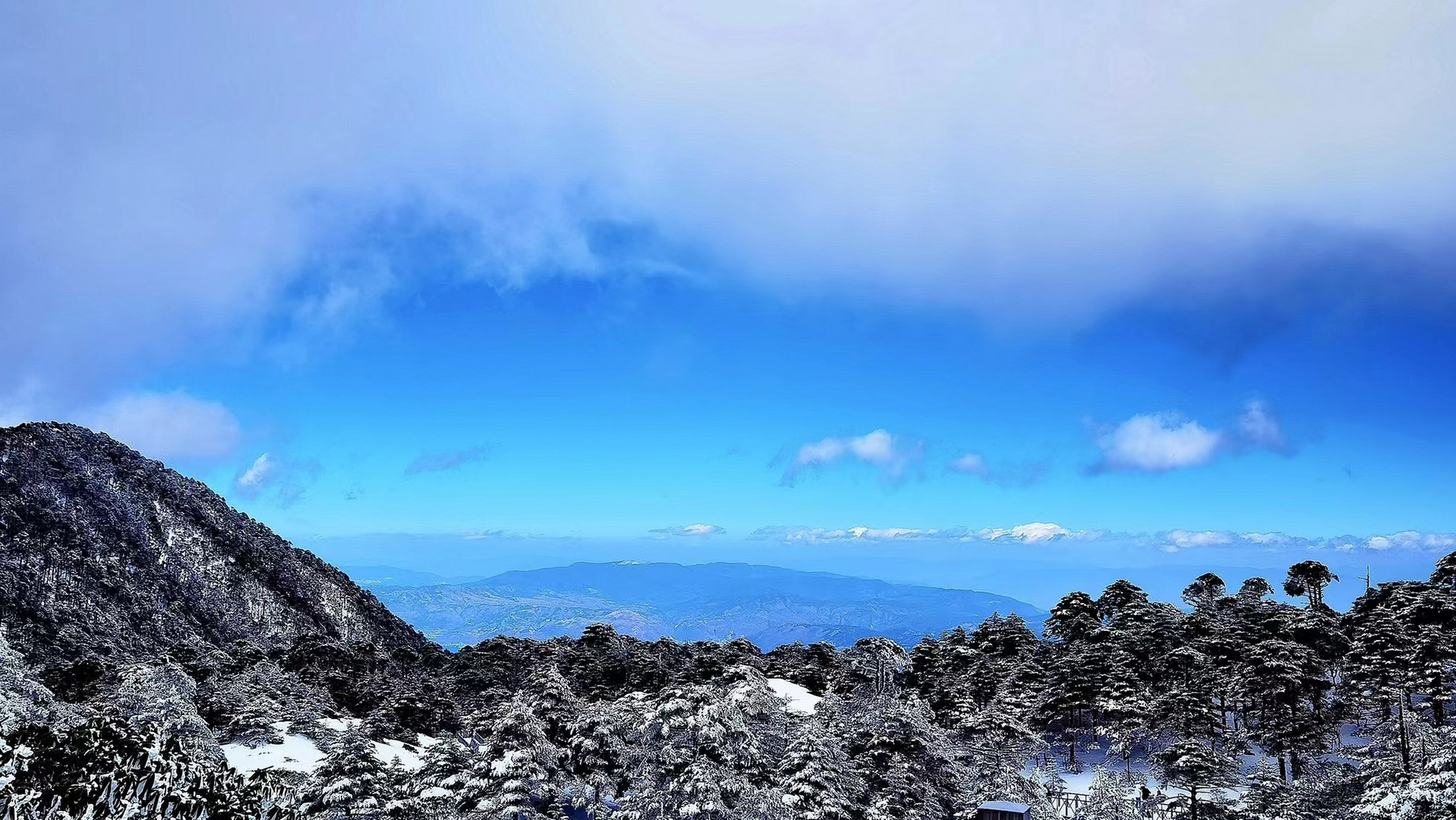苍山大蒜
