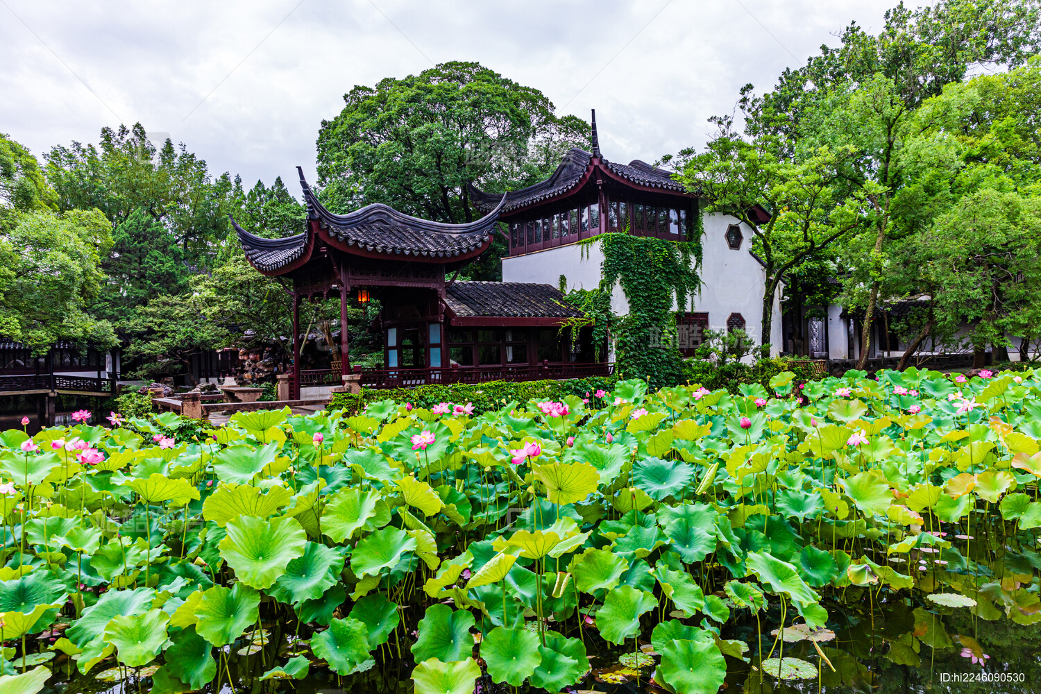 江苏夏季旅游好去处 带孩子玩转特色景点