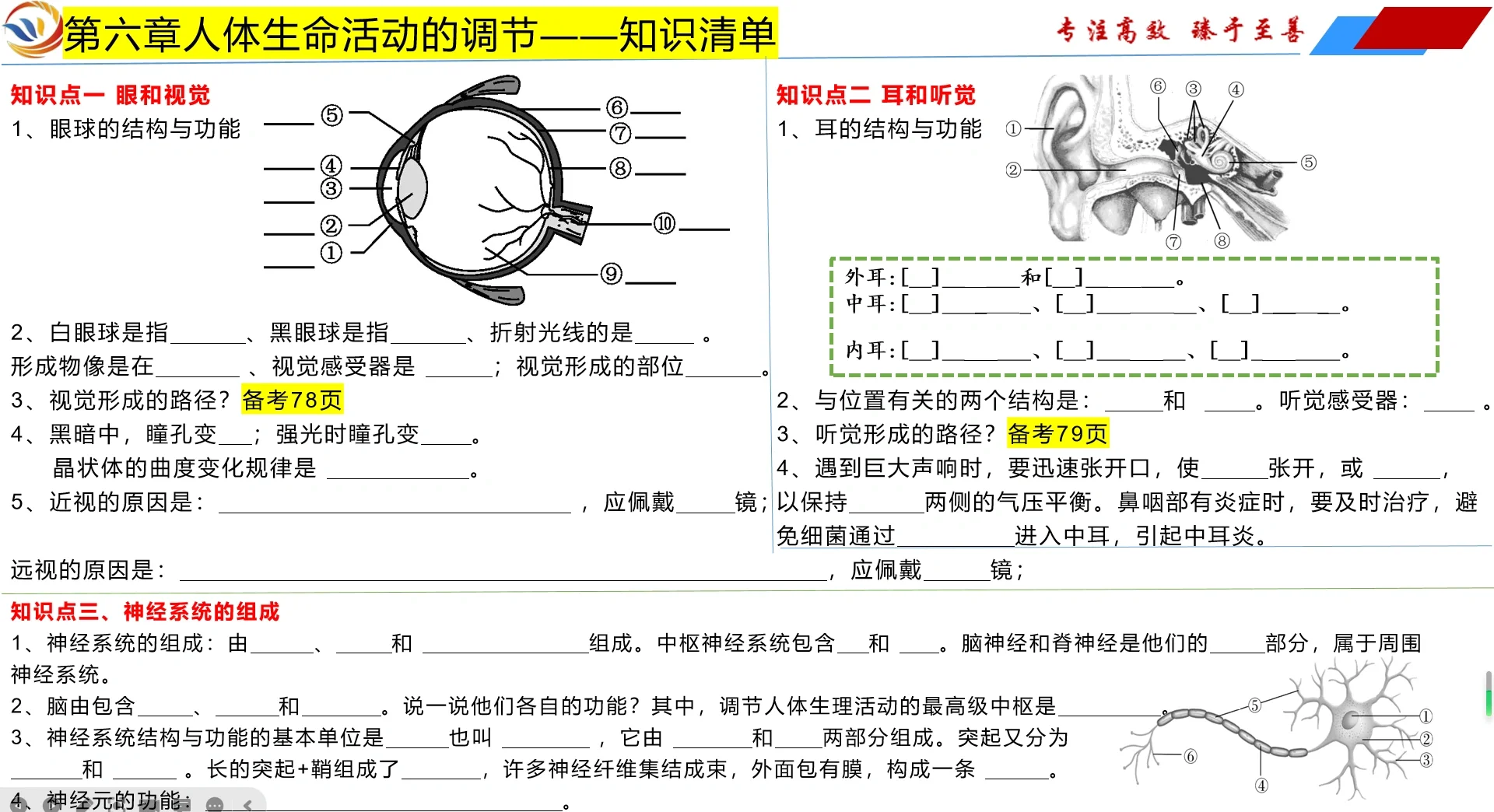 人体调节官是什么器官？...