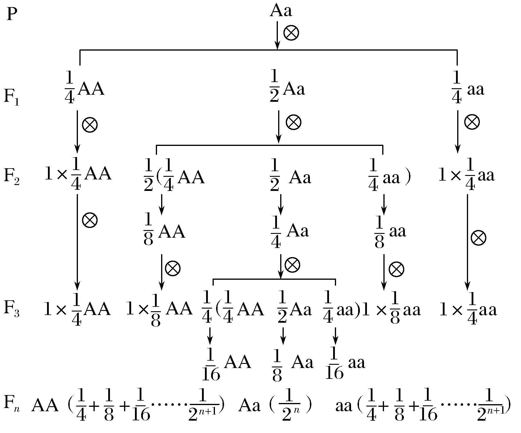 AA制来源大揭秘 荷兰人为什么爱AA
