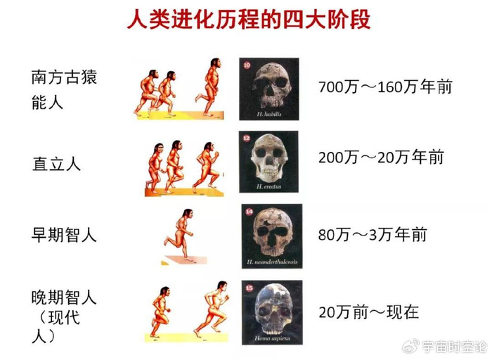 人类进化关键因素 解放双手的代价与智慧生物可能性