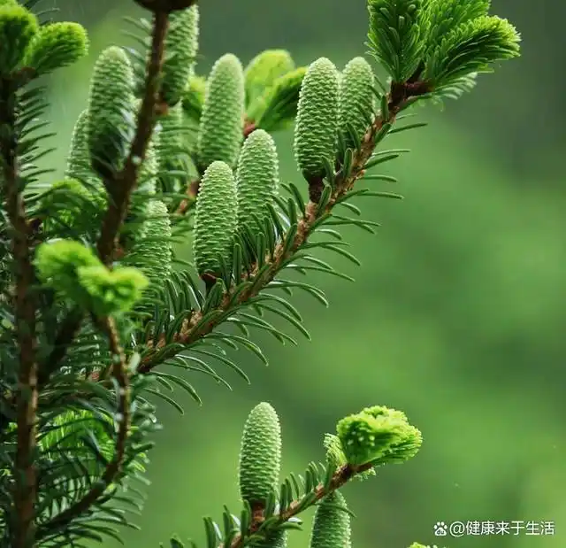 百企业成功案例