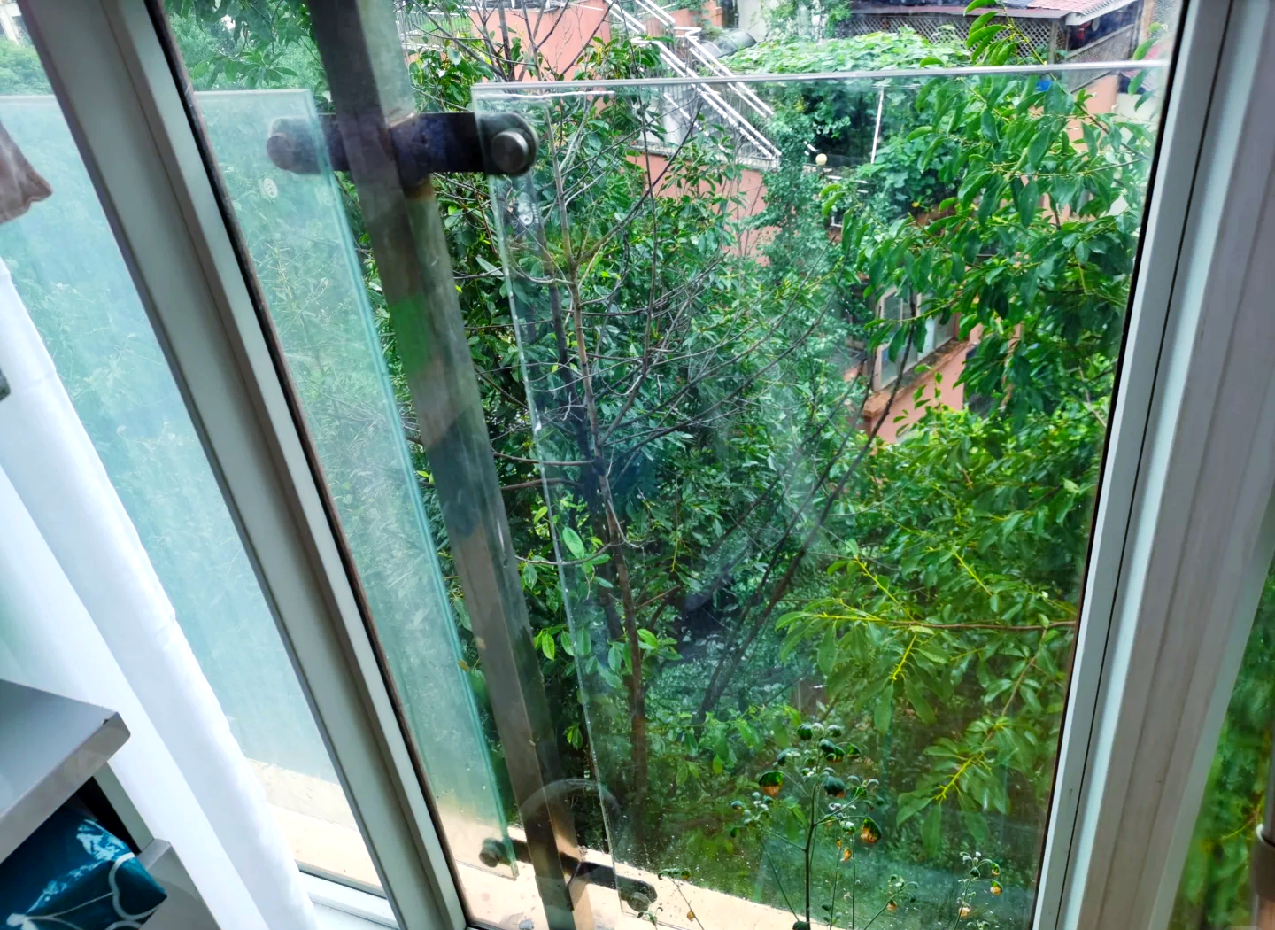 夹缝中的生存法则:厦门思明城中村站街现象深度解码