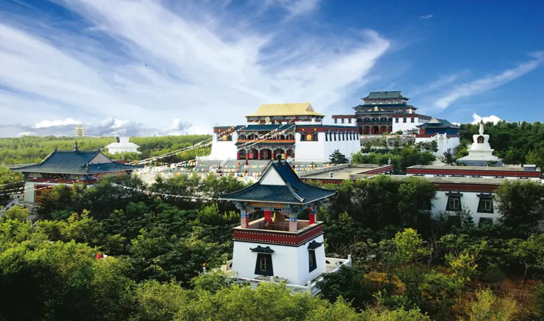 松原女子学院后街喝茶