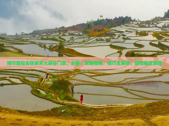 张家界200元1小时做完付款快餐